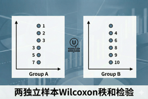 两独立样本Wilcoxon秩和检验